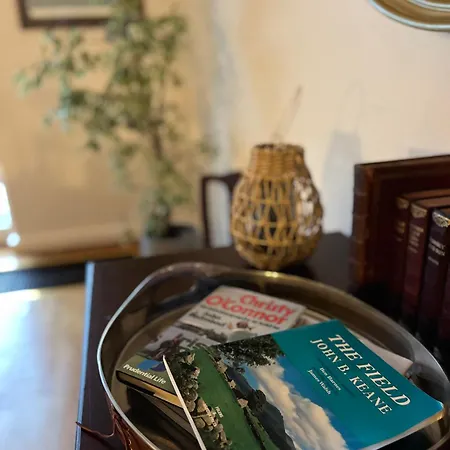 别墅 Caragh House - Lakefront Escape And Sauna 基洛格林