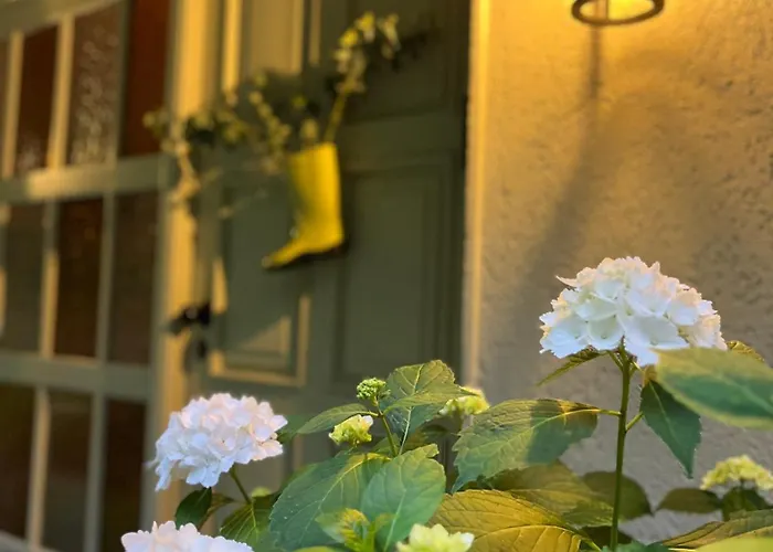 Villa Caragh House - Lakeside Escape And Sauna *